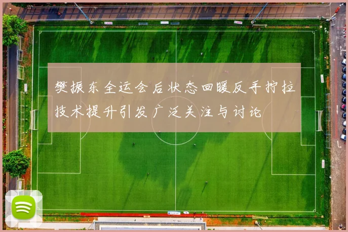樊振东全运会后状态回暖反手拧拉技术提升引发广泛关注与讨论